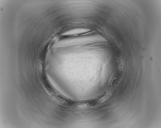 X0000069810456200606161853