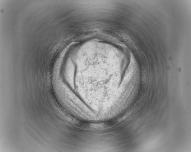 X0000069810457200606161853