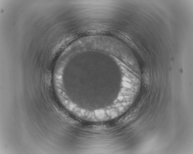 X0000069810458200606161854