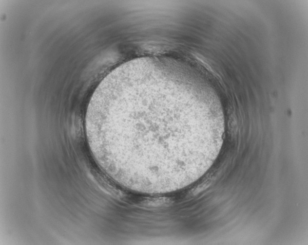 X0000069810459200606161854