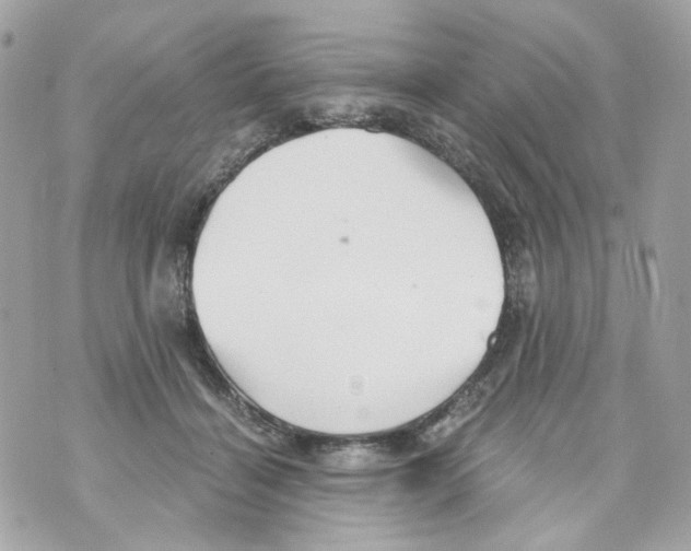 X0000069810460200606161854