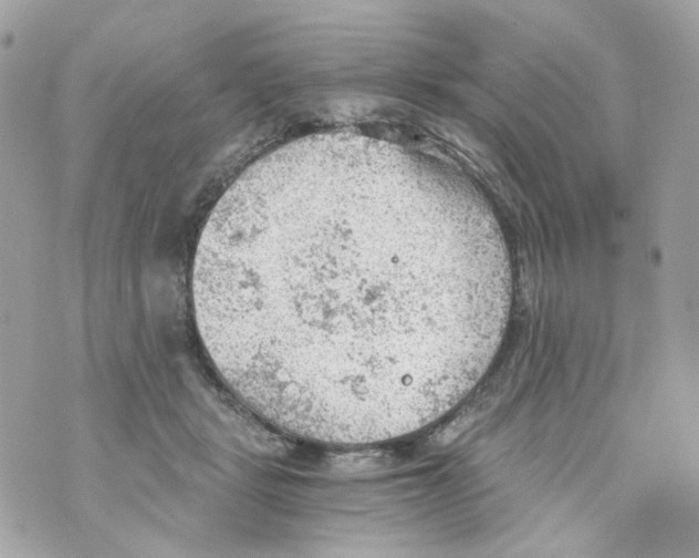 X0000069810461200606161854