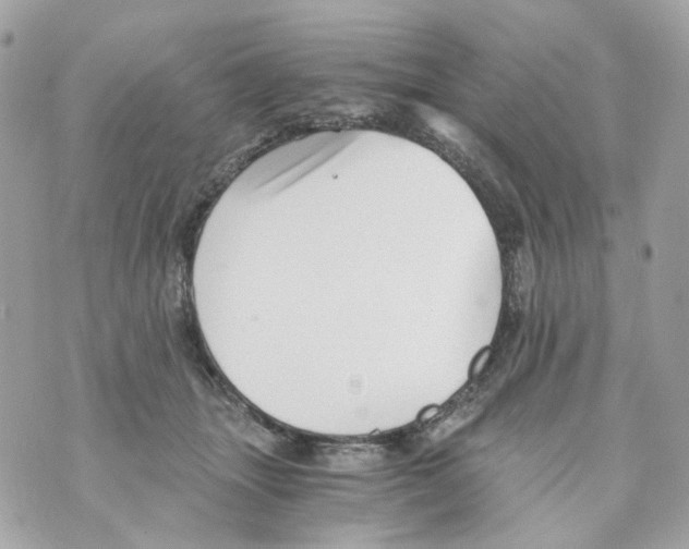 X0000069810463200606161854