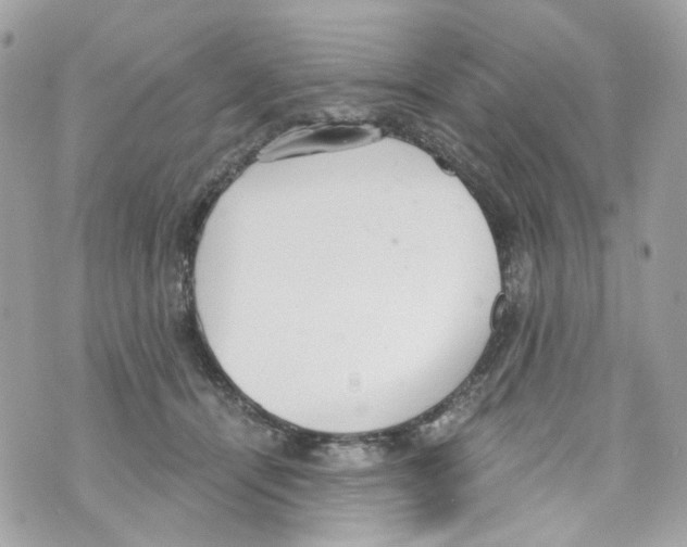 X0000069810464200606161854