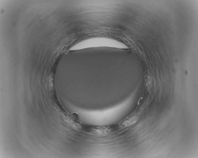 X0000069810466200606161854