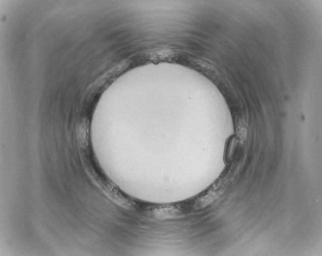 X0000069810468200606161854