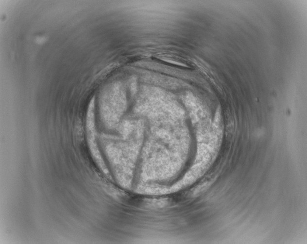 X0000069810469200606161854