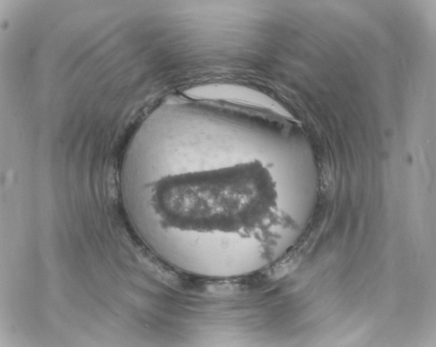 X0000069810470200606161854