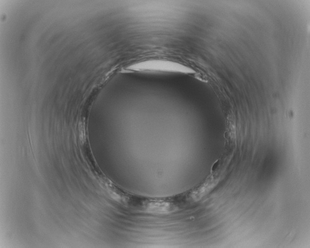 X0000069810471200606161854