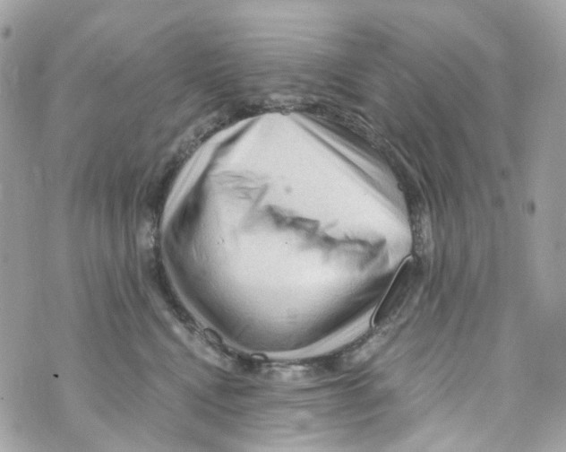 X0000069810472200606161854