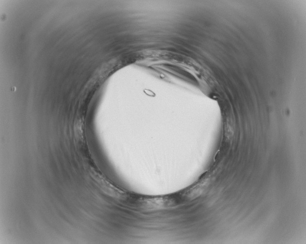 X0000069810473200606161854