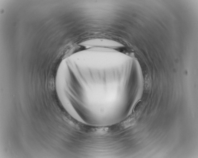 X0000069810474200606161854