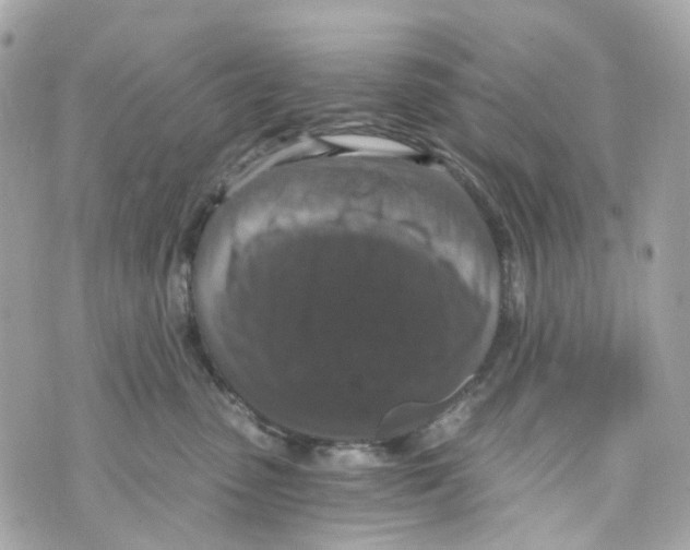 X0000069810475200606161854