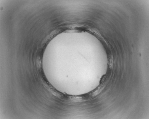 X0000069810476200606161854