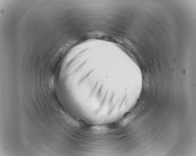 X0000069810477200606161854