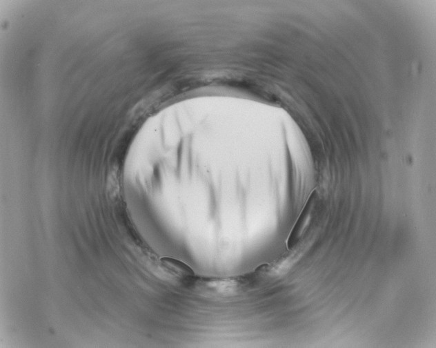 X0000069810478200606161854