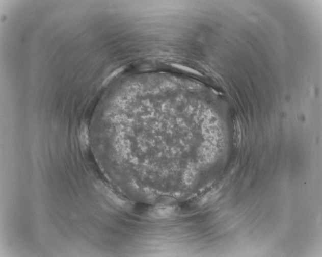 X0000069810479200606161854