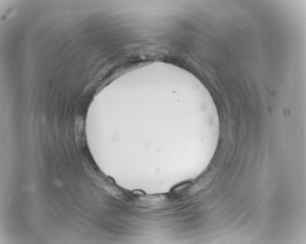 X0000069810480200606161854