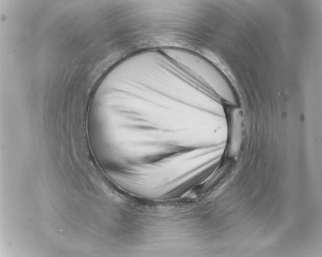 X0000069810481200606161853