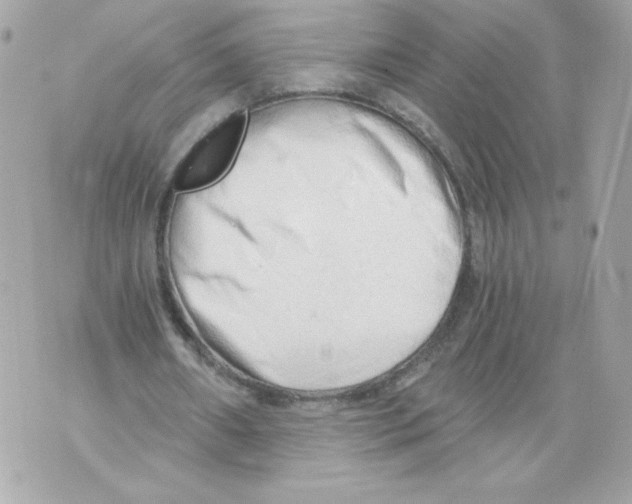 X0000069810482200606161853