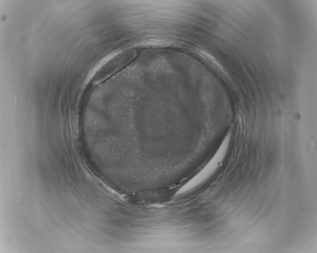 X0000069810484200606161853