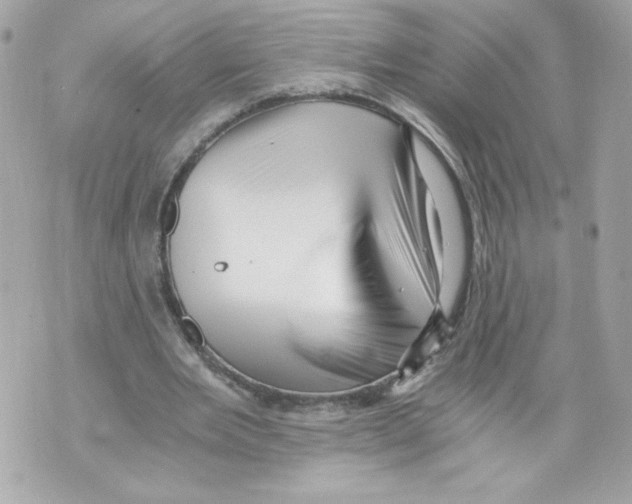 X0000069810485200606161853