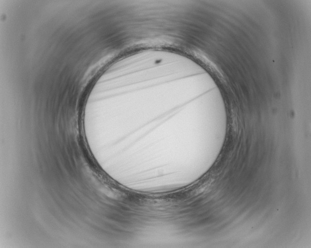 X0000069810486200606161853