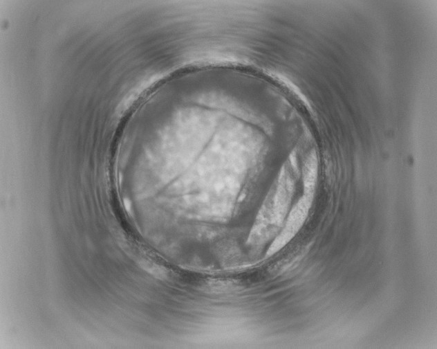 X0000069810487200606161853