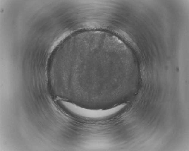 X0000069810488200606161853