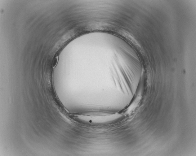 X0000069810489200606161853