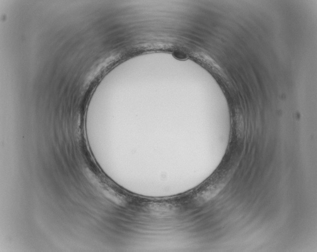 X0000069810490200606161853