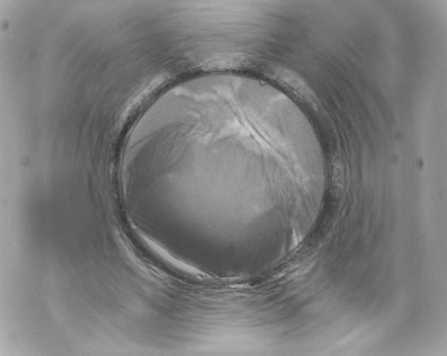 X0000069810491200606161853