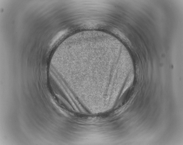 X0000069810493200606161853