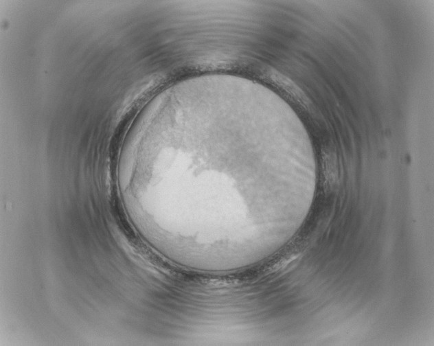 X0000069810494200606161853