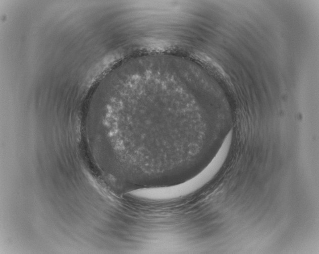 X0000069810496200606161853