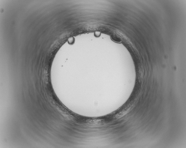 X0000069810497200606161853