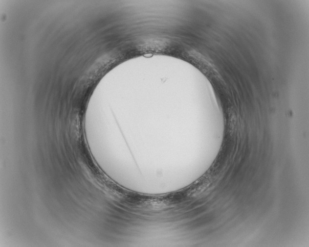 X0000069810498200606161853