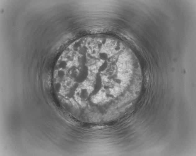 X0000069810499200606161853