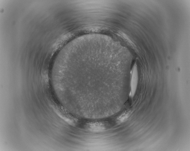 X0000069810500200606161853