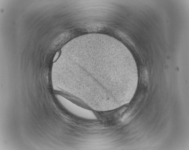 X0000069810501200606161853