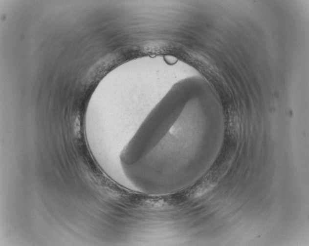 X0000069810502200606161853