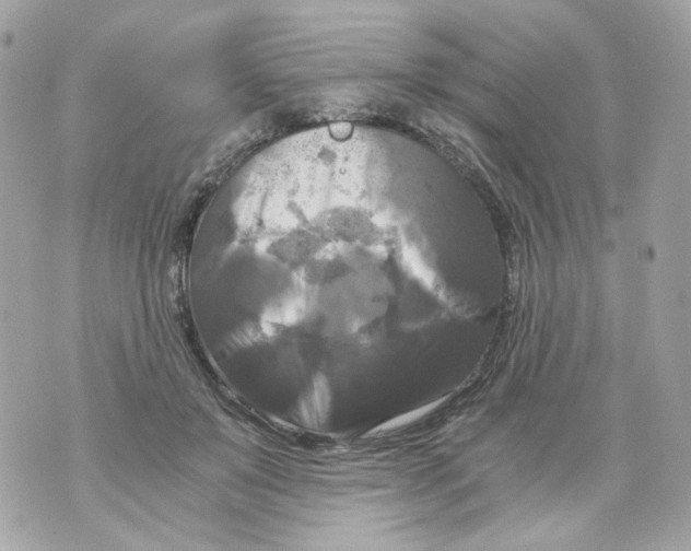 X0000069810503200606161853