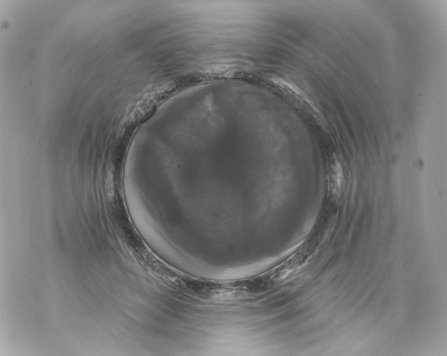 X0000069810504200606161853