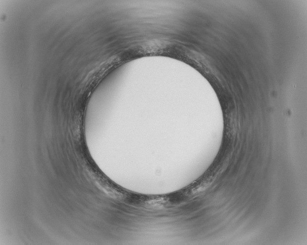 X0000069810505200606161853