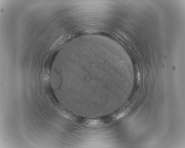 X0000069810507200606161853