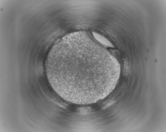 X0000069810508200606161853