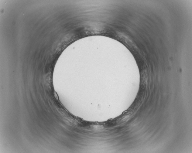 X0000069810509200606161853