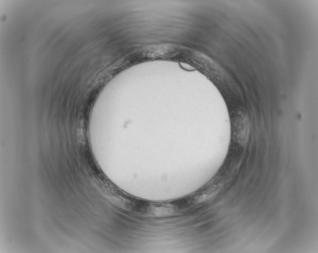 X0000069810510200606161853