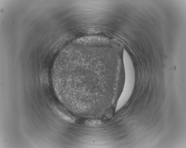 X0000069810512200606161853