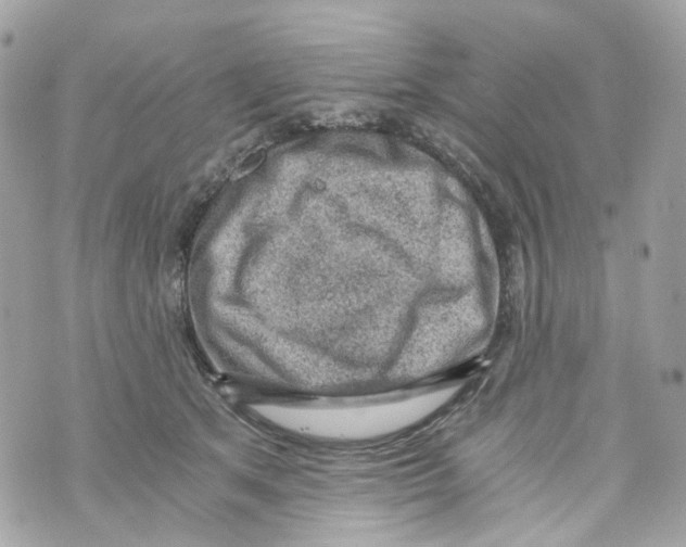 X0000069810513200606161853